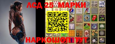 прущие крисы Камышлов