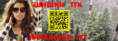 прущие крисы Камышлов
