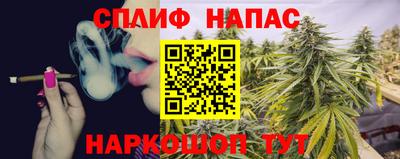 прущие крисы Камышлов