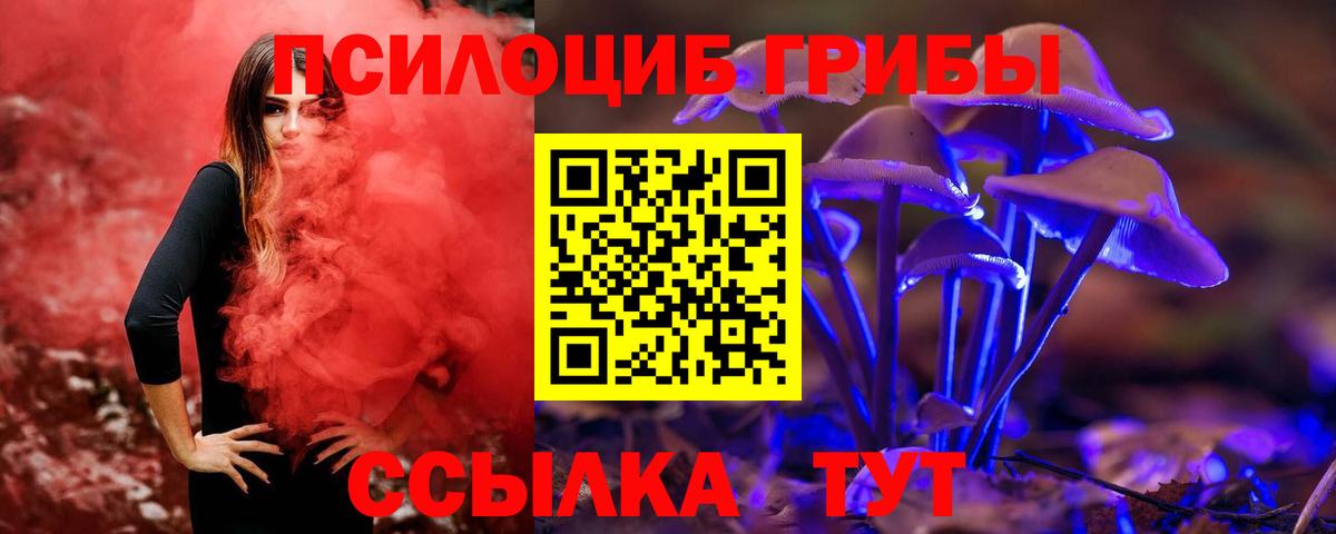 Псилоцибиновые грибы Psilocybine cubensis  Вход с VPN  Алапаевск  Галлюциногенные грибы MAGIC MUSHROOMS 